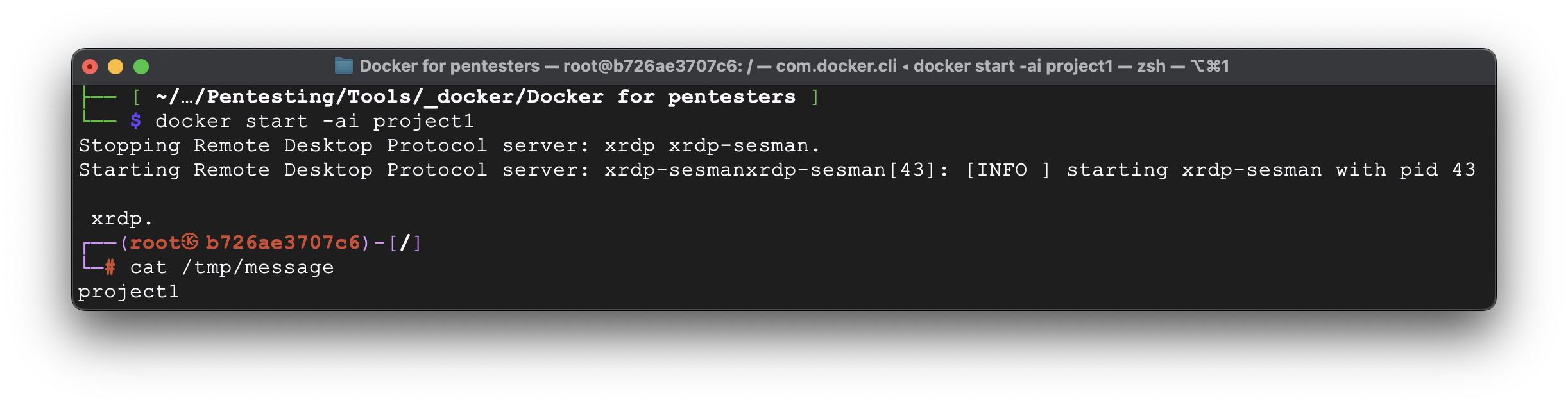 GNU-linux-desktop-on-docker_039